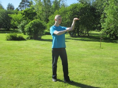 Zen Taijiquan Kung-Fu! (Snake Style)